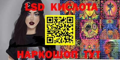 стаф Новозыбков