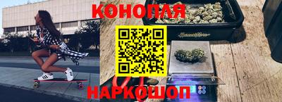 стаф Новозыбков