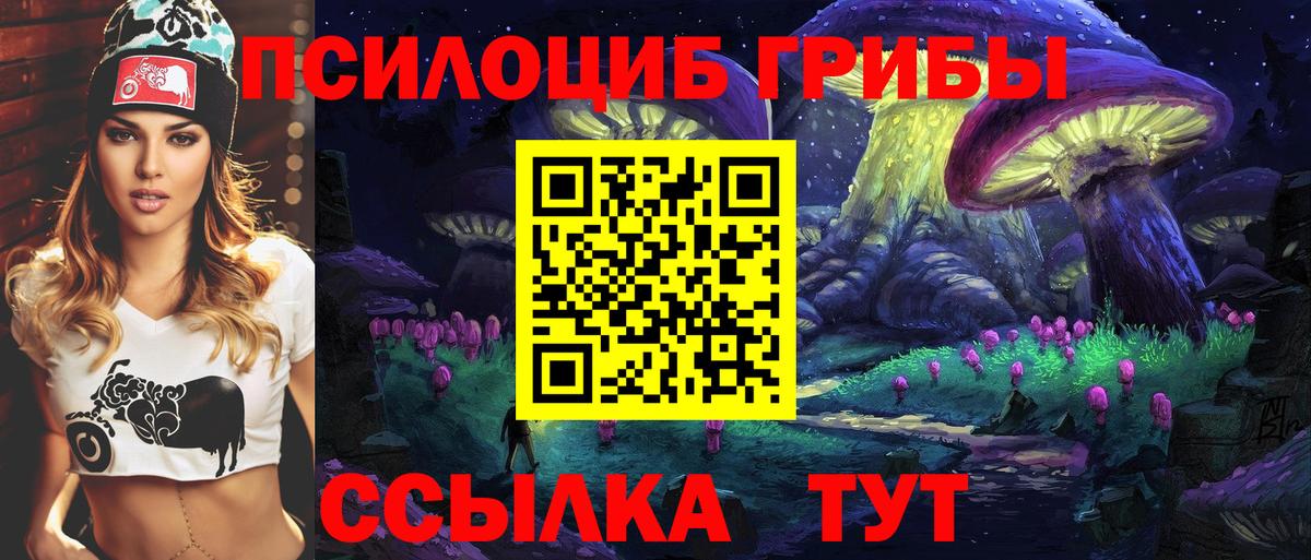 Галлюциногенные грибы Cubensis Славгород